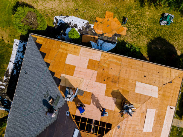 Best Gutter Installation and Roofing  in Victoria, MS