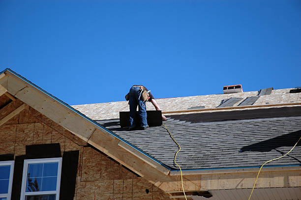 Best Roof Repair Services  in Victoria, MS